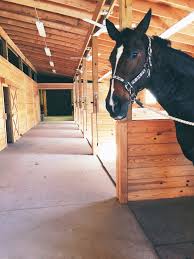 Horse barn built in a traditional timber frame structure also provides a riding arena space and living space on 2nd floor. The Barn From Heaven