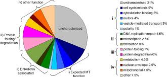 functional classification of 270 drosophila embryonic maps a