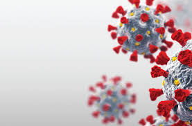 Written & directed by desiree akhavan, produced by cecilia frugiuele for parkville pictures. Human Behavior In The Time Of Covid 19 Learning From Psychological Science Association For Psychological Science Aps