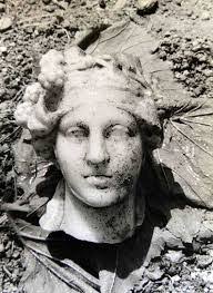 Dan Dioses's Instagram, Twitter & Facebook