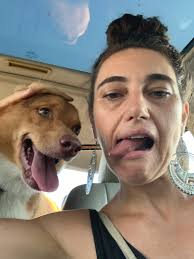 Giving gastroel to a Bernedoodle with soft stools: dosage and mixing  instructions