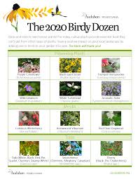 Maybe you would like to learn more about one of these? 2020 Birdy Dozen Audubon Pennsylvania