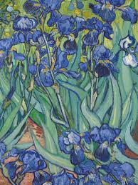 Irises Detail Vincent Van Gogh 1889 Van Gogh Flowers Van Gogh Art Van Gogh Irises