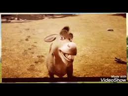 لازم أركب الحمار أحبك يا حمار وهموتك يا خمار Youtube