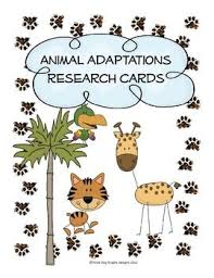 Pin On Graphic Organizers And Science