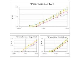 Amoxicillin Weight Chart