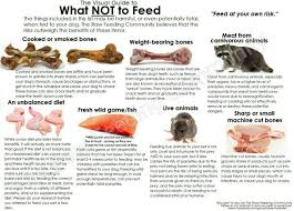 The cost of a raw dog food diet varies with the ingredients used and how it is prepared. Pin On Madvaline