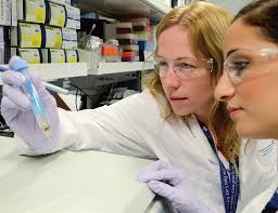 Rapport annuel 2017-2018