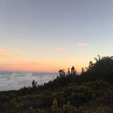 79 followers · tour agent. Best Tour On Maui Review Of Cruiser Phil S Kahului Hi Tripadvisor