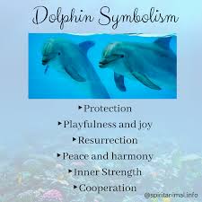 The Dolphin Spirit Animal Meanings Dolphins Animal Spirit Animal Meaning Dolphins