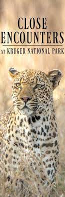 Two Ways To See Africa S Big Five At Kruger National Park Kruger National Park South Africa Safari South Africa Travel