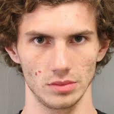 Three teens arrested and charged after breaking into cars, a home