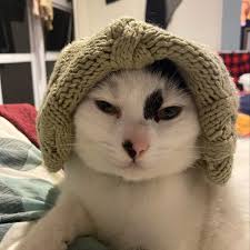 Stephanie Roach (@just_call_me_wimpole) • Instagram photos and videos