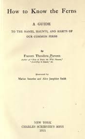 Flowers and ferns in their haunts im zustand gebraucht kaufen. How To Know The Ferns A Guide To The Names Haunts And Habits Of Our Common Ferns Parsons Frances Theodora 1861 1952 Free Download Borrow And Streaming Internet Archive