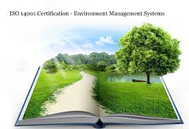 Iso 14001 Environmental Management Systems Importance Of Environmental Management Systems Iso 14001 Environmental Management System Environment Management