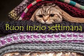 Le Migliori Immagini Buon Inizio Settimana Per Whatsapp Gratis