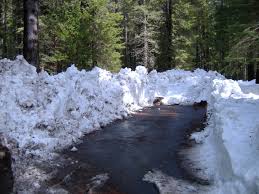 Calaveras Big Trees Sp Image Gallery Bringing high quality educational and interpretive programs to calaveras big trees state park. calaveras big trees sp image gallery