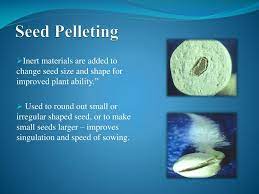 Increase the value of your property when you provide a definition with lawn edging. Ppt Seed Enhancement Definition Powerpoint Presentation Free Download Id 1886065