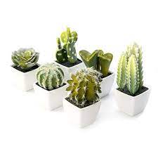 Nattol Artificial Mini Succulent Cactus Plants In White Cube Shaped Pots For Home Decor Set Of 6 Fake Plants Decor Small Fake Plants Fake Cactus Plants