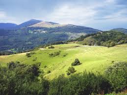 Les vosges sont la plus grande fierté des randonneurs alsaciens. Decouvrir Le Grand Ballon Plus Haut Sommet Des Vosges Mon Grand Est