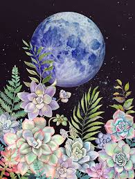 Succulent Full Moon Art Prints Art Tropical Art