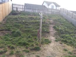 Bon tool lawn and sand roller. Help How To Level My Garden Out On My Own Bbc Gardeners World Magazine