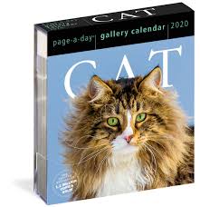 2020 Cat Page A Day Gallery Calendar Amazon Co Uk Workman Calendars 9781523506422 Books