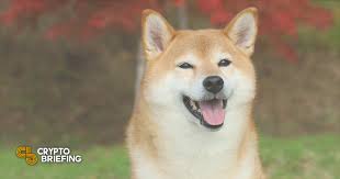 Learn more about doge | shiba inu. I4ujqlfdyr1wum