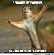 Share these funny memes with your. 39 Very Funny Squirrel Meme Images Gifs Pictures Picsmine