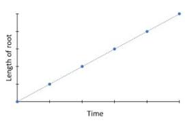 Maybe you would like to learn more about one of these? Growth And Its Phases Plant Growth And Development Videos Examples