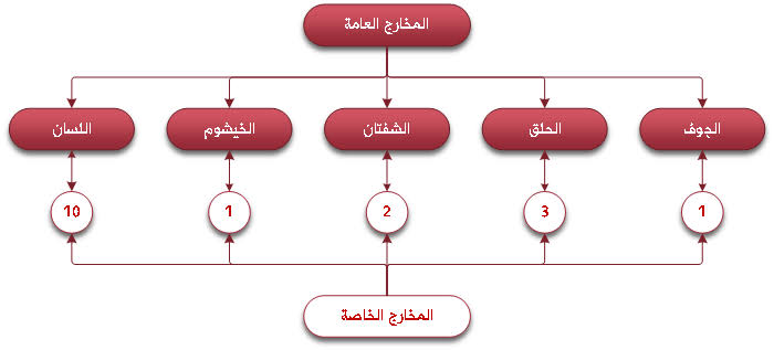 المخارج العامة والخاصة للحروف العربية, AI generated