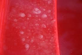 How To Remove Water Spots By Hand