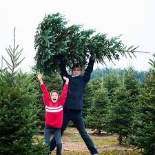 Maybe you would like to learn more about one of these? The Best Places To Get A Christmas Tree In Columbus