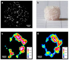 Kakek sugiono indonesia & mahasiswi cantik part 2. Materials Free Full Text Micro Computed Tomography Guided Analysis Of In Vitro Structural Modifications In Two Types Of 45s5 Bioactive Glass Based Scaffolds Html