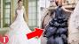 Hilarious Funniest Bridesmaid Dresses