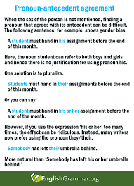 English Grammar Pronoun Antecedent Agreement And Other Grammar Rules He Pronoun Antecedent Agreement Persuasive Writing Prompts Grammar Interactive Notebook