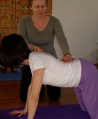 Ричард хотон, нэнси чартьер, робб хадспет и др. Yoga Therapy The Yoga Garage