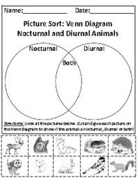 Nocturnal And Diurnal Animals Picture Sort Graph Activity Chart Activity