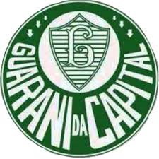 Você está procurando imagens palmeiras, folha, as árvores e folhas png hd? Download Palmeiras Png Png Image With No Background Pngkey Com