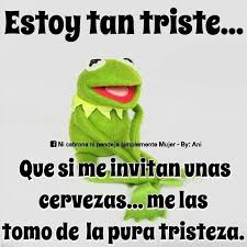 Happy Birthday To Me Meme Sad Pin By Reyna Larios On La Rana Rene Memes Mario Characters Humor Character