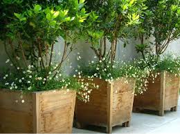 For easy dinner recipes ready in a flash, you've come to the right place. Container Gardening Recipes The Honeycomb Home