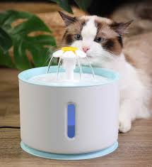 Hydrofountain In 2020 Cat Water Fountain Automatic Cat Water Cat Fountain