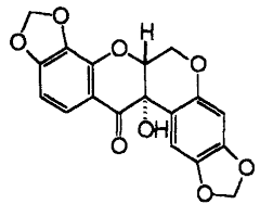 Image result for Millettia usaramensis