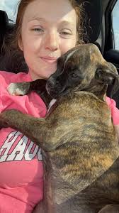 My 4 month old beagle gets the hiccups alot, is this normal?