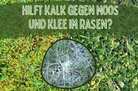 Je später im jahr der kalk ausgebracht wird, desto besser lässt sich damit das lästige moos bekämpfen. Hilft Kalk Gegen Moos Und Klee Im Rasen