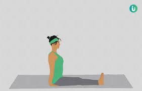 Dandasana Staff Pose Steps Benefits Precautions And Modifications