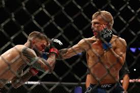 Cody garbrandt and tj dillashaw finally settle the score at ufc 217. Ufc 217 Video Highlights Tj Dillashaw Survives Knockdown Tko S Cody Garbrandt Bloody Elbow