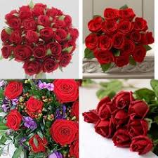 A big collection of amazing flowers, surprising shapes and incredible colors. 10 Rose Flower Ideas Rose Flower Rose Flower Gift