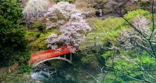 槙尾山 西明寺公式サイト｜真言宗大覚寺派