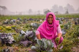 Jim Caro, PhD  ᜇ᜔ᜌᜒᜋ᜔ᜊᜓ (@jimcaro)